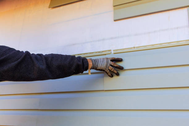 Best Historical Building Siding Restoration  in Murrells Inlet, SC